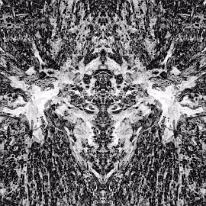 I_00011
