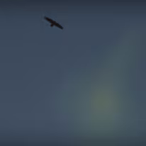 II_00018